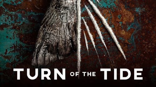 Rabo de Peixe Bild 5