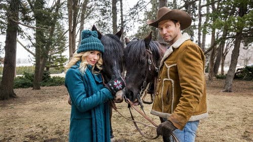 One Starry Christmas Bild 3