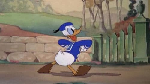 Der freiwillige Helfer Bild 1