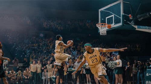 Shooting Stars Bild 4