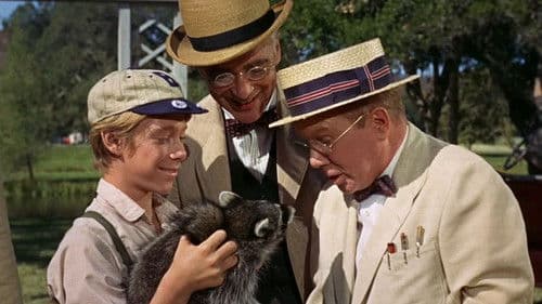 Rascal - Ein Frechdachs im Maisbeet Bild 1