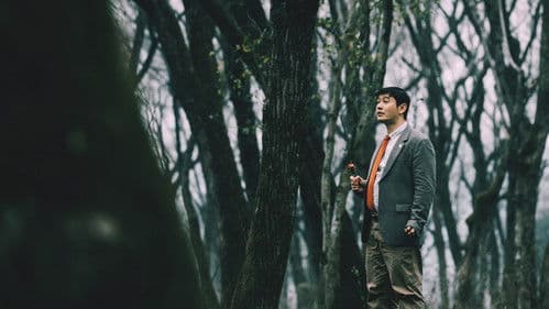 阳光俱乐部 Bild 4