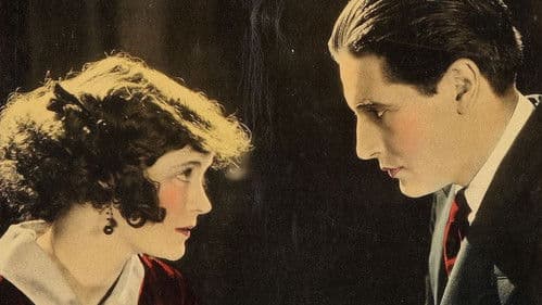 The White Rose Bild 1