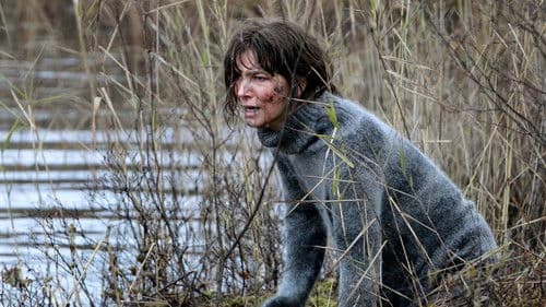 Irene Huss, Kripo Göteborg: Tödliches Netz Bild 1