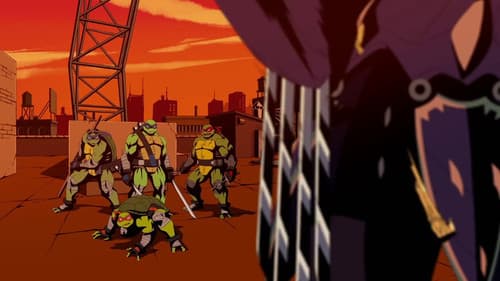 Turtles Take Time (and Space) Bild 6