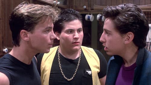 Die letzte amerikanische Jungfrau Bild 6