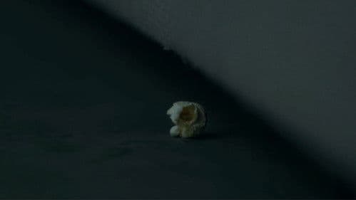 สุข-คติ Bild 1