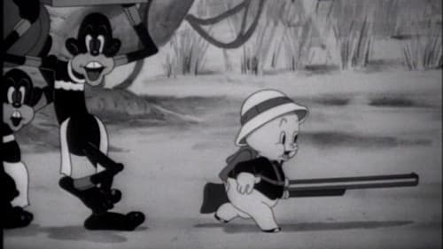 Africa Squeaks Bild 1