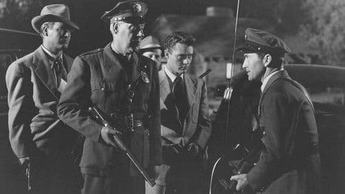 Lonely Heart Bandits Bild 1