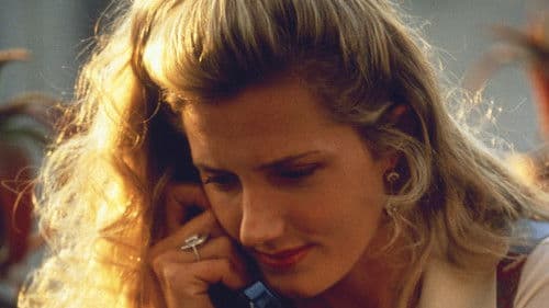 Geht’s hier nach Hollywood? Bild 7