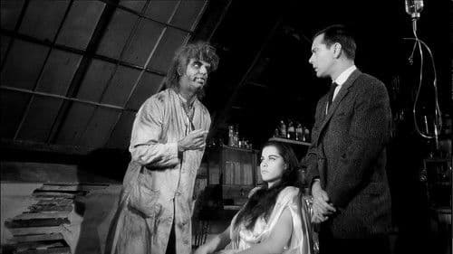 The Wacky World of Dr. Morgus Bild 2