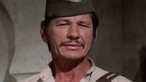 Zwei Kerle aus Granit Bild 8