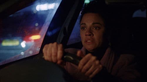 What We Wished We Could Be Bild 3