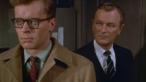 Das Mädchen Saphir Bild 7