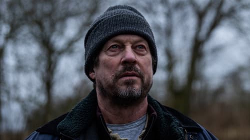 Chrysanthemum Bild 4