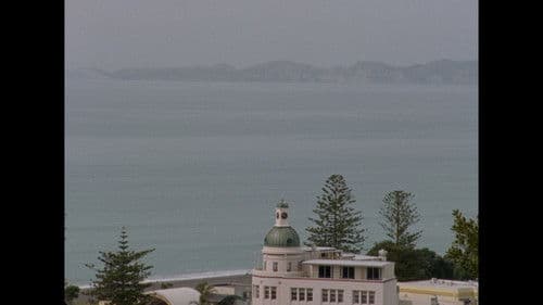 Grateful Grapefruit Bild 8