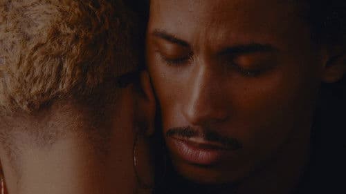 No, Not Really Bild 1