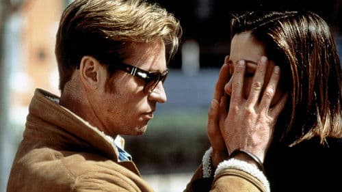 Auf den ersten Blick Bild 3