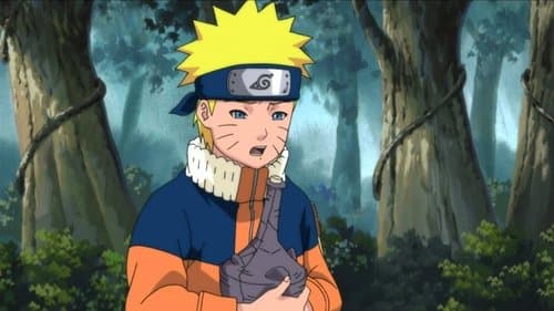 Naruto Shippuden The OVA - Naruto, ein Genie und drei Wünsche Bild 1
