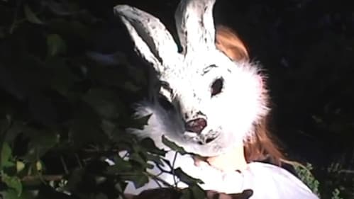 Baby, I'm The Wolf, The Film Bild 1