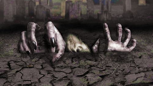 The Gravedancers - Ruhe nicht in Frieden! Bild 6