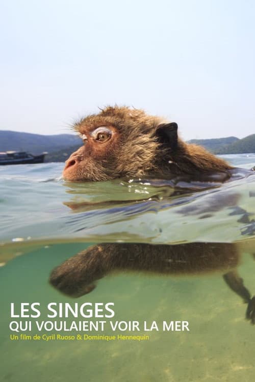 Affen in Thailand - Von wegen wasserscheu!