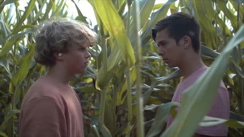 Desire: The Short Films of Ohm Bild 1