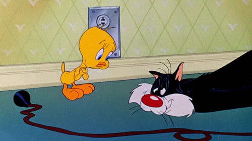 Silvester zieht den Kürzeren Bild 2