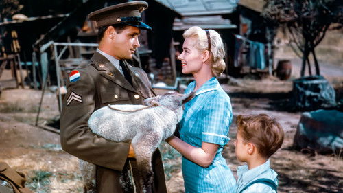 Glut unter der Asche Bild 3