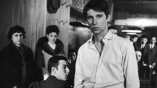 Os Verdes Anos Bild 8