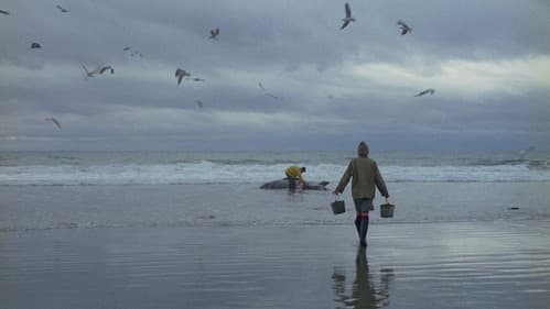 Mein Freund, der Otter Bild 1