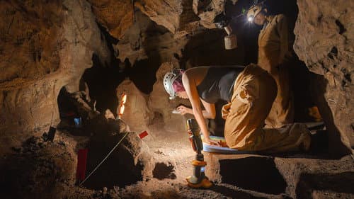 Unbekannt: Die Knochenhöhle Bild 3
