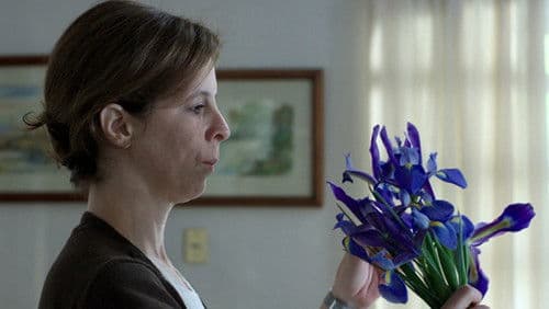 Flores silvestres Bild 2