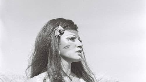 قطط شارع الحمرا Bild 7