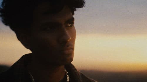 Far From the Grove Bild 2