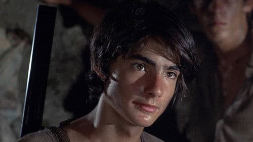 Das Wespennest Bild 5