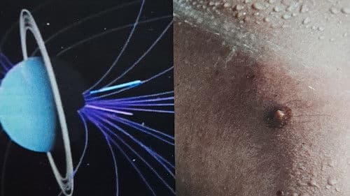 The Beginning of Identification, and its End Bild 1