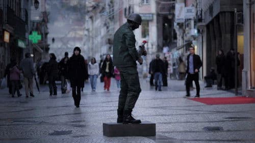 O Voo da Papoila Bild 4