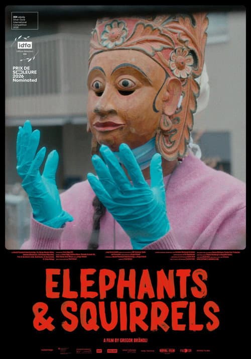 Elephants & Squirrels