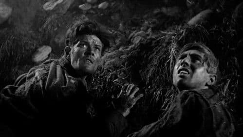 Die letzte Chance Bild 2