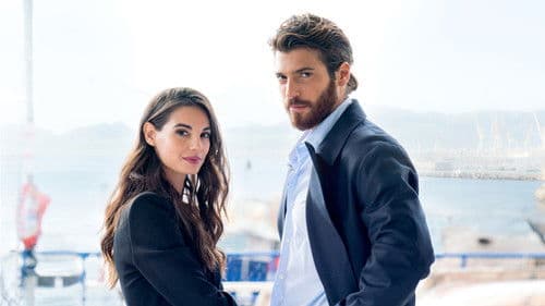 Viola Come Il Mare Bild 2