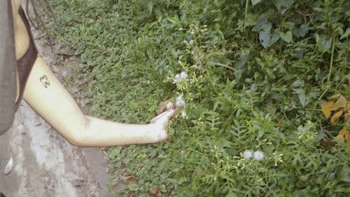 o céu diante dos meus olhos nunca é cinza Bild 1