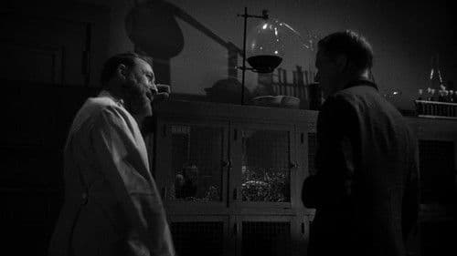 The Mad Doctor of Market Street Bild 1