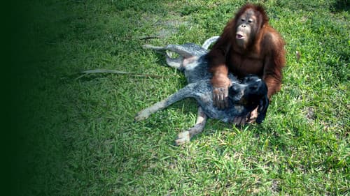 Tierische Freundschaften Bild 4