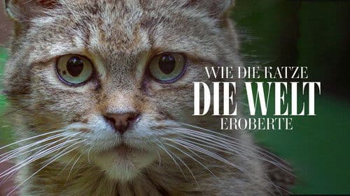 Wie die Katze die Welt eroberte Bild 4