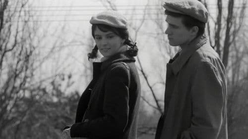 Duminică la ora 6 Bild 3