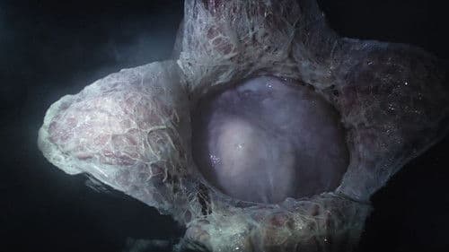 Alien: Covenant - Epilogue: Advent Bild 6