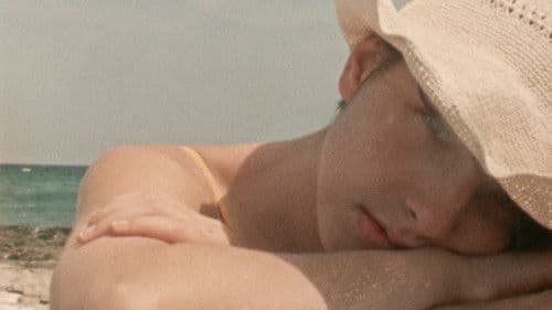 Ritratto di Rosa, all'italiana Bild 1