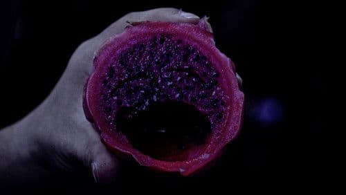 Super Natural Bild 2