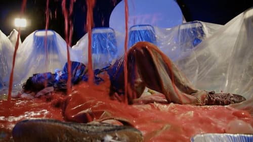 Crocodile Dose Bild 1